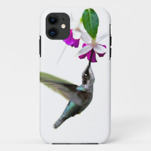 Capa Para iPhone 11 Hummingbird e Fuschia