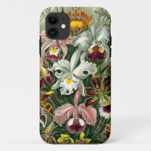 Capa Para iPhone 11 Ilustração botânica das orquídeas do vintage 1