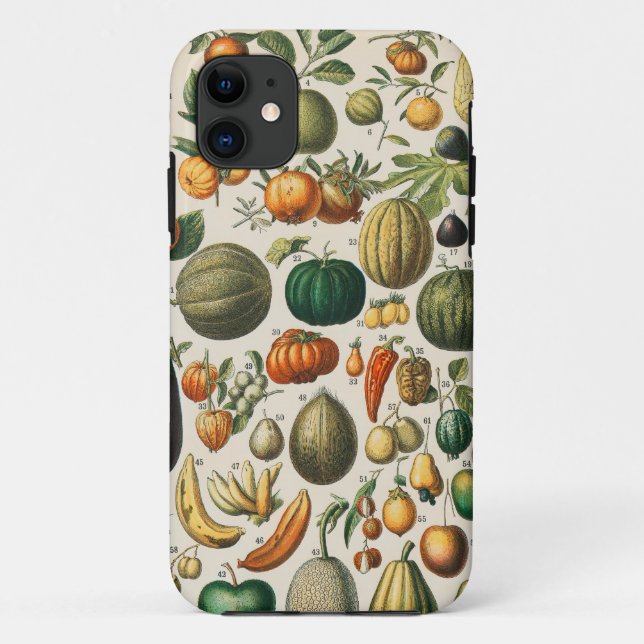 Capa Para iPhone 11 Ilustração Científica Botânica Vegetal fruta (Verso)