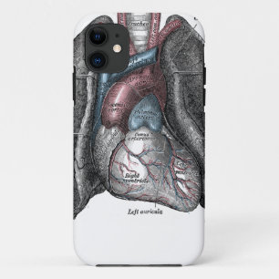 Capa Para iPhone 11 Ilustração Vintage Cinza Anatomia Pulmões Cardíaco