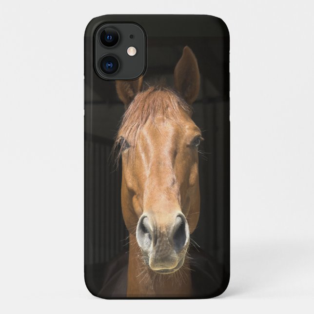 Capa Para iPhone 11 Imagem de Foto de Rosto de Cavalo (Verso)