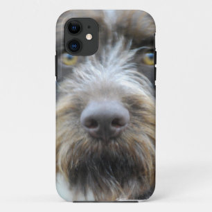 Capa Para iPhone 11 iPh do modelo do iphone 5 barly lá QPC -