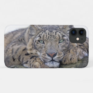 Capa Para iPhone 11 iPhone 11 Green-Eyed Gaze
