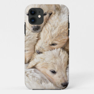 Capa Para iPhone 11 iPhone / iPad case