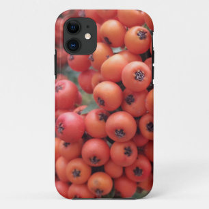 Capa Para iPhone 11 iPhone / iPad case