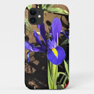 Capa Para iPhone 11 Iris em um campo de Tulip, Woodburn, Oregon