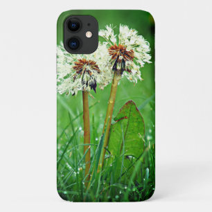 Capa Para iPhone 11 Juntos. Sempre Dois Dandeliões com gotas de chuva