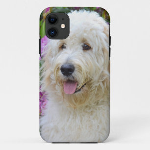 Capa Para iPhone 11 Labradoodle