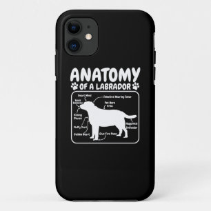 Capa Para iPhone 11 Labrador Dog Anatomy