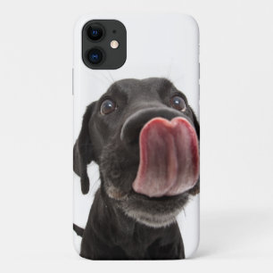 Capa Para iPhone 11 Labrador Negro A Soltar O Nariz