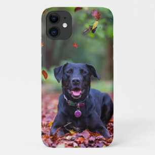 Capa Para iPhone 11 Labrador Negro Em Folhas De outono