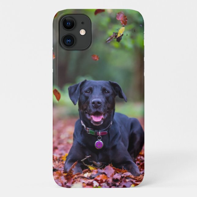 Capa Para iPhone 11 Labrador Negro Em Folhas De outono (Verso)