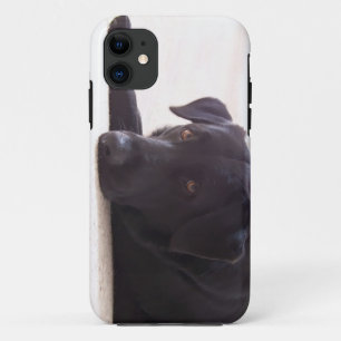 Capa Para iPhone 11 labrador retriever