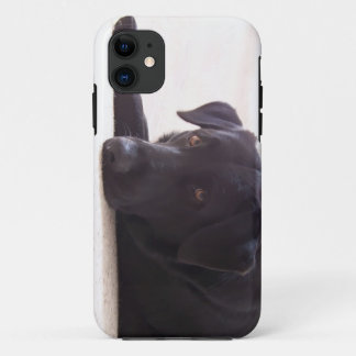 Capa Para iPhone 11 labrador retriever