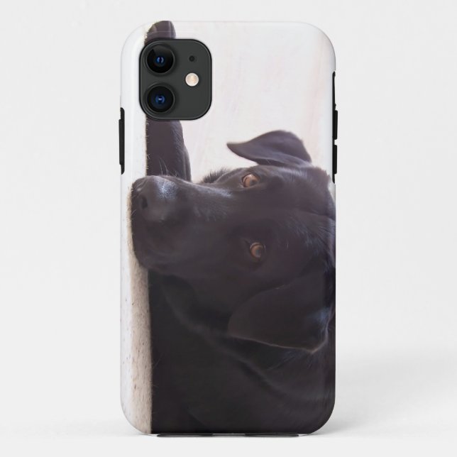 Capa Para iPhone 11 labrador retriever (Verso)