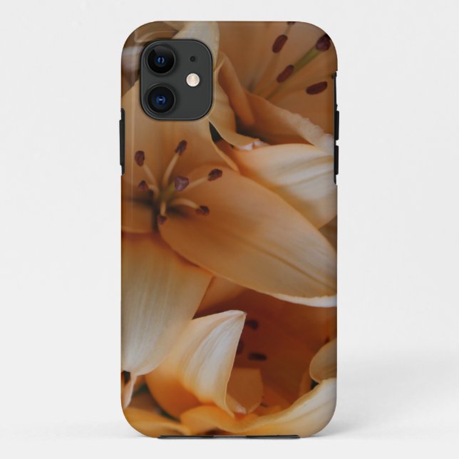 Capa Para iPhone 11 Laranja Day Lillies Fecham (Verso)