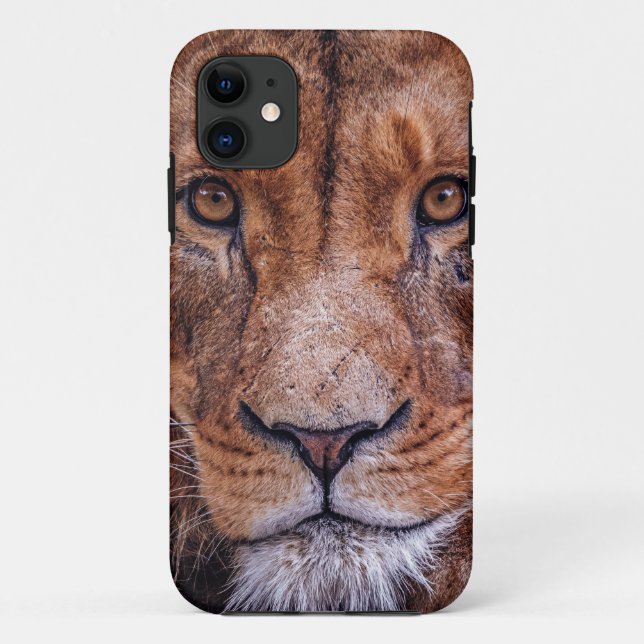 Capa Para iPhone 11 Leão Africano (Verso)