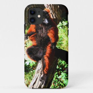 Capa Para iPhone 11 Lemur vermelho de Ruffed