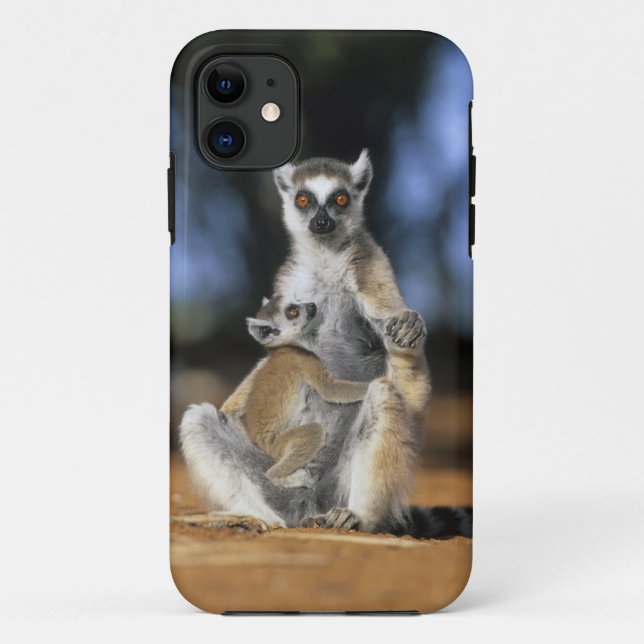Capa Para iPhone 11 Lêmure-de-cauda-anelada, (Lemur catta), Mãe e (Verso)