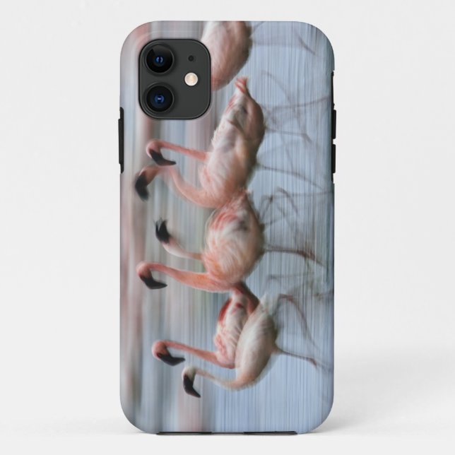 Capa Para iPhone 11 Lesser Flamingos em movimento, Phoenicopterus (Verso)
