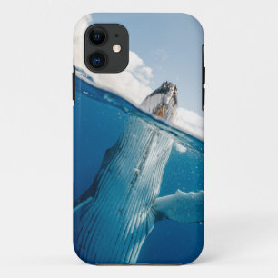 Capa Para iPhone 11 Linda baleia gigante