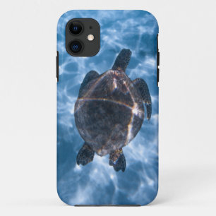 Capa Para iPhone 11 Linda Tartaruga Aquática Melhor presente para a