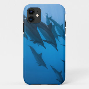 Capa Para iPhone 11 Lindas Criaturas Oceânicas