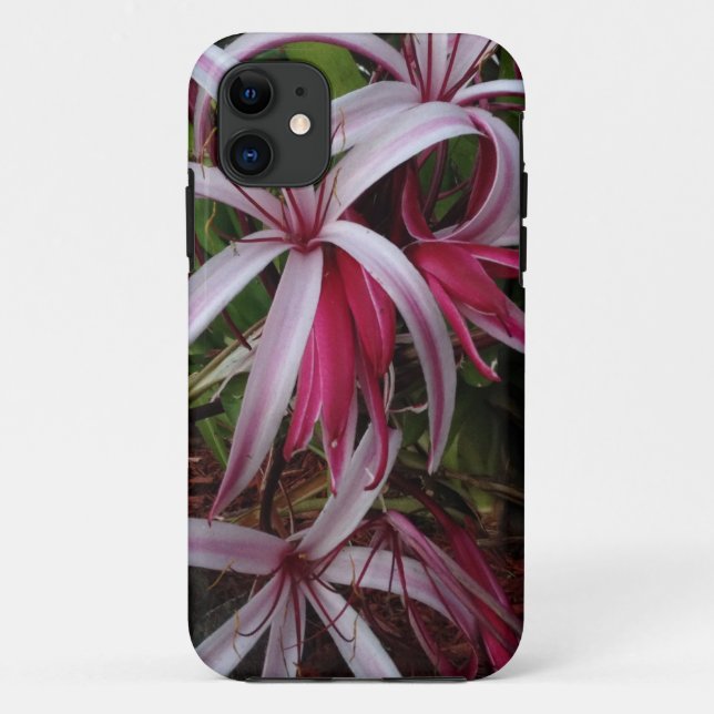 Capa Para iPhone 11 Lírio Crinum Roxo da Rainha Emma (Verso)