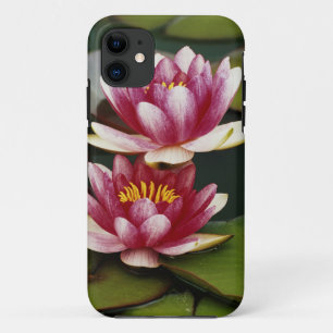 Capa Para iPhone 11 Lírios de água híbridos