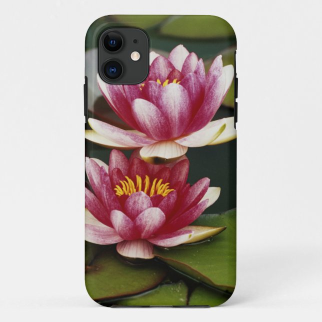 Capa Para iPhone 11 Lírios de água híbridos (Verso)