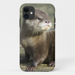 Capa Para iPhone 11 Lontra bonito do bebê