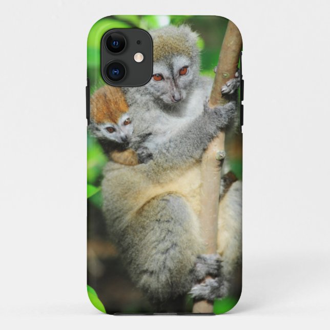 Capa Para iPhone 11 Madagáscar, Andasibe, Ilha dos Lêmures, Mãe (Verso)