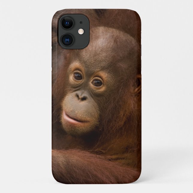 Capa Para iPhone 11 Mãe de orangotango e bebê no zoológico (Verso)