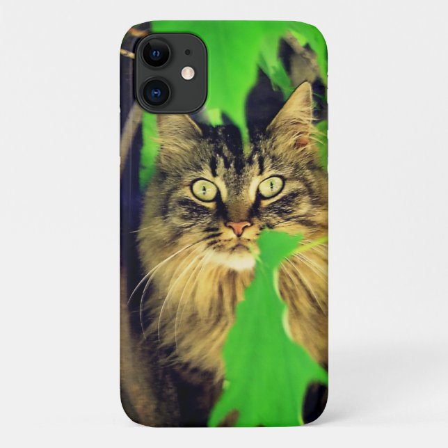 Capa Para iPhone 11 Maine Coon na Árvore (Verso)