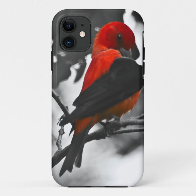 Capa Para iPhone 11 Male Scarlet Tanager (Verso)