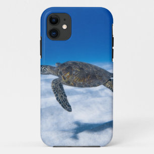 Capa Para iPhone 11 Maravilhosa Tartaruga Aquática