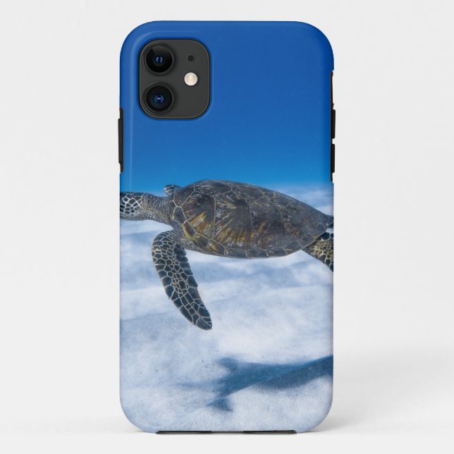 Capa Para iPhone 11 Maravilhosa Tartaruga Aquática (Verso)