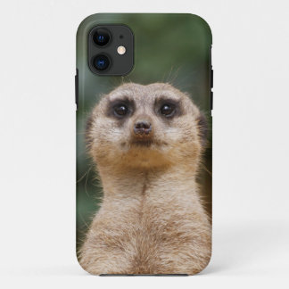 Capa Para iPhone 11 Meerkat 001