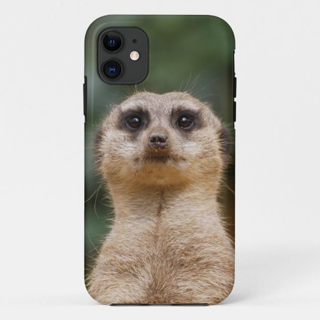 Capa Para iPhone 11 Meerkat 001 (Verso)