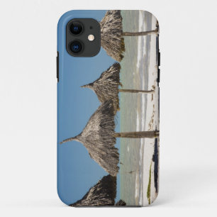 Capa Para iPhone 11 México, Península de Yucatán, Progreso. Palha
