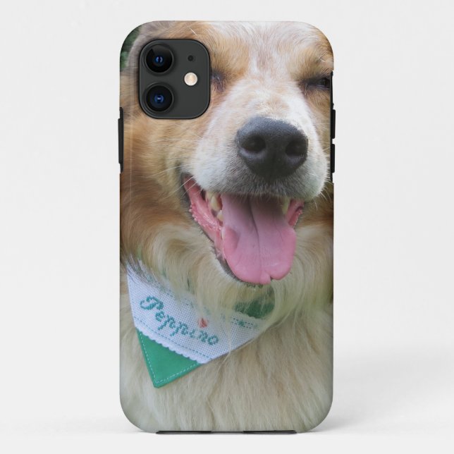 Capa Para iPhone 11 mistura de border collie (Verso)