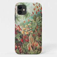Mosses, Muscinae Laubmoose por Ernst Haeckel