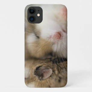 Capa Para iPhone 11 Mova-se do Bob!