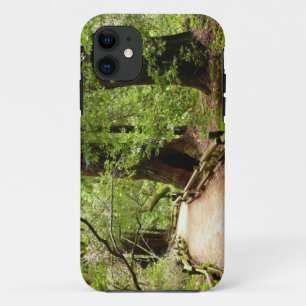 Capa Para iPhone 11 Muir Woods Path II - Fotografia natural