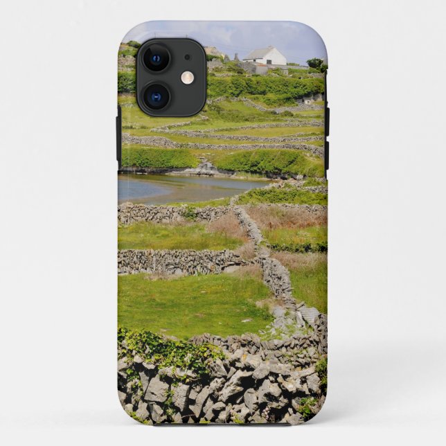 Capa Para iPhone 11 Muros de Pedra da Irlanda (Verso)