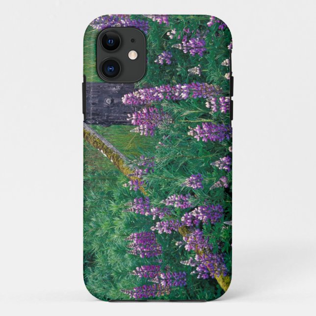 Capa Para iPhone 11 NA, EUA, Alasca, Ilhas Aleutas, Unalaska, (Verso)