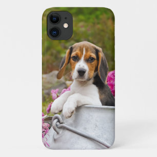Capa Para iPhone 11 O Tricolor Beagle Dog Puppy Pet numa igreja de lei