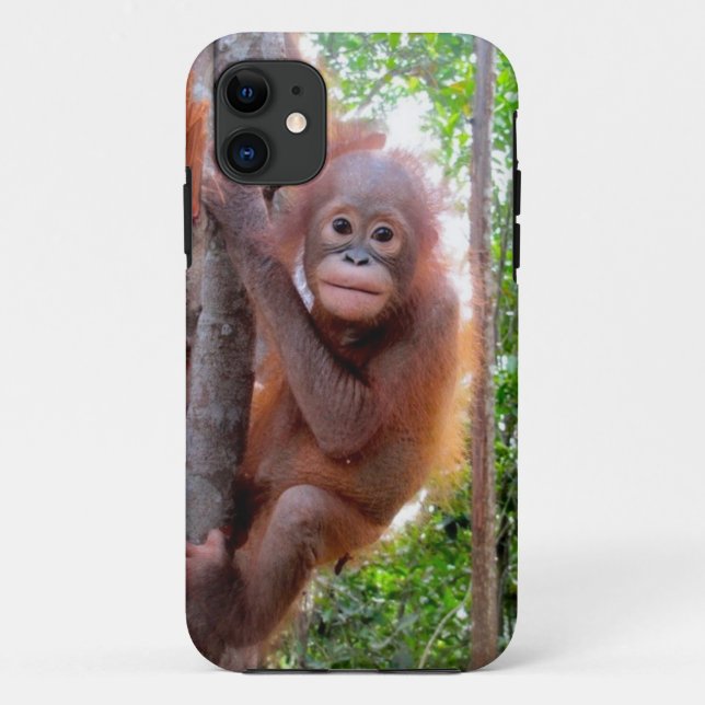 Capa Para iPhone 11 Orangotango do bebê de Uttuh na escola da selva (Verso)
