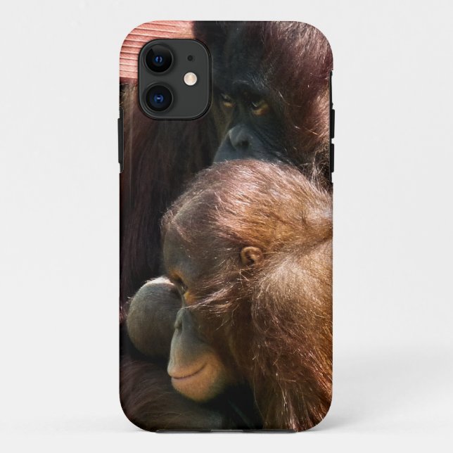 CAPA PARA iPhone 11 ORANGUTANOS (Verso)