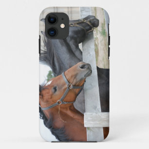Capa Para iPhone 11 Os Cavalos do Amor